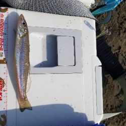 先月のリベンジです