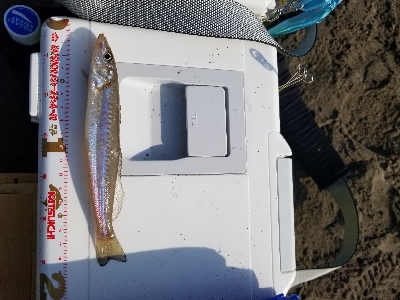 先月のリベンジです