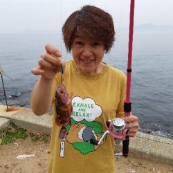 はじめてのアジングルアー