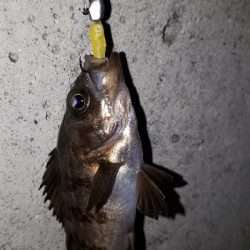 小物ばかり・・・