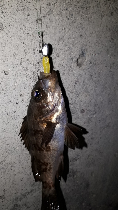 小物ばかり・・・