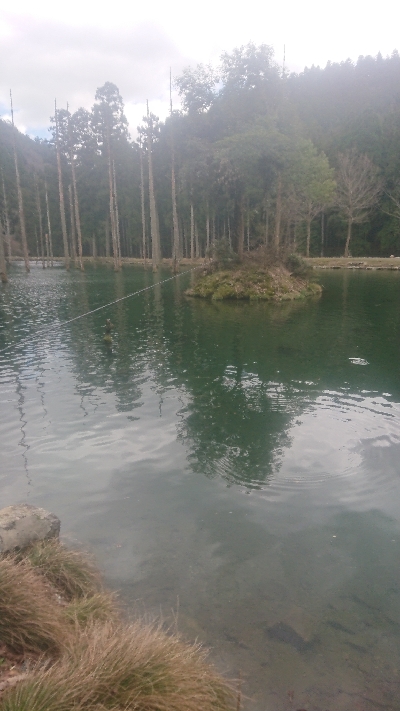 朽木渓流魚センタールアーフィールド