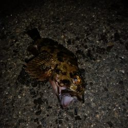 気候は良いのに