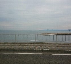 ファミリーキス