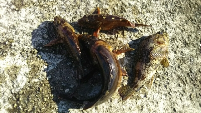 気温が低かっけど