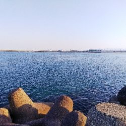 活性が高くなってきた