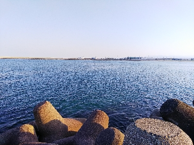 活性が高くなってきた