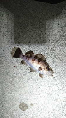 カラーチェンジ。