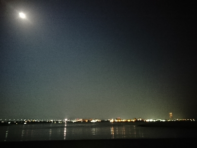 強風メバリング