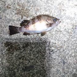 向かい風を選択