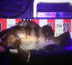 サイズ伸びない