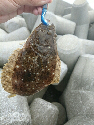 ほんとの平成最後の魚