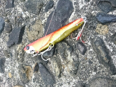 ゴールデンウィーク釣果2今日もいつもの。