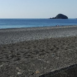 県南サーフでヒラセイゴ