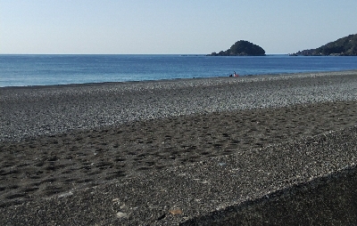 県南サーフでヒラセイゴ