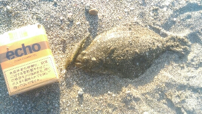 ライトショアジギング　DAISOメタルジグ