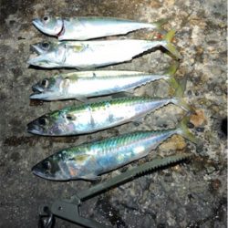 超爆風サバゲー ※追伸をご確認下さい!