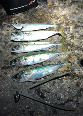 超爆風サバゲー ※追伸をご確認下さい！