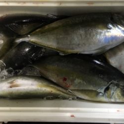釣り堀