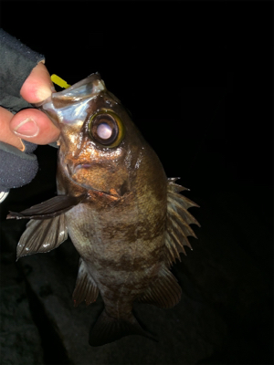 ん？ジャンプ⁇