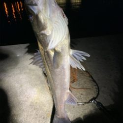 ランガンするべし