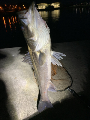 ランガンするべし