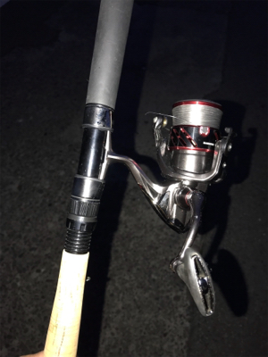 今日も朝だけチニング