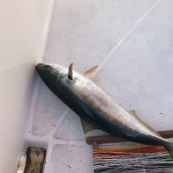 スロージギンク