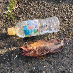 暖かい釣り日和