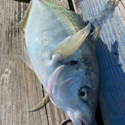 カタタの釣堀にて