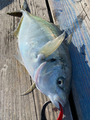 カタタの釣堀にて