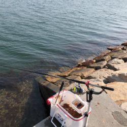 チヌフカセ釣り