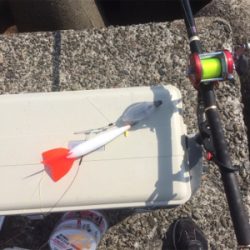 南紀遠征、3度目の正直!