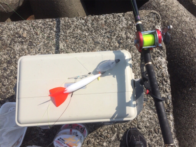 南紀遠征、3度目の正直!