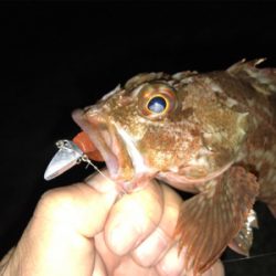 潮が動かなきゃどないもなりません