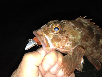 潮が動かなきゃどないもなりません