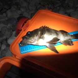 赤いフロート(笑)