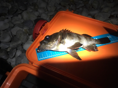 赤いフロート(笑)