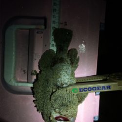 泉南サーフゲーム