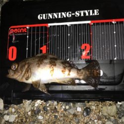 フロートメバリング