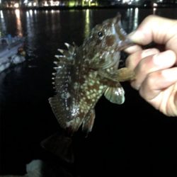 親父たちの釣行‼️