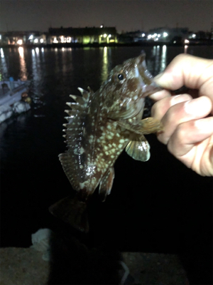 親父たちの釣行‼️