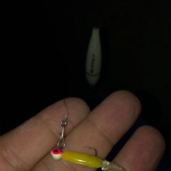 夫婦メバリング