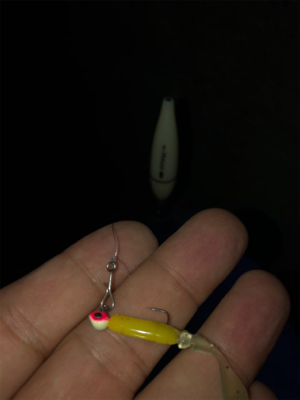 夫婦メバリング