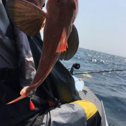 マイボート釣行…南伊勢