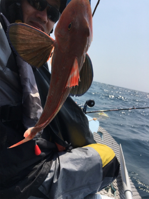 マイボート釣行…南伊勢