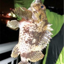 メバソイメバメバ