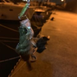 ランガンメバリング