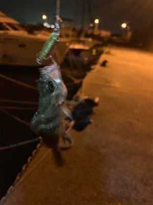 ランガンメバリング