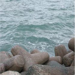 強風の中粘りの末のタケノコメバル